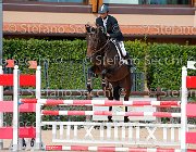 Aroni Quieta Bella GioCav2013 S5 4142 : Aroni Francesco, Campionati Italiani Giovani Cavalli, Cattolica, Quieta Bella, ph Stefano Secchi ©